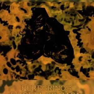 Peregrinos e torta de maçã: impressões de viagem (Myriam Fraga)